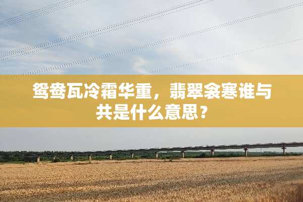 鸳鸯瓦冷霜华重，翡翠衾寒谁与共是什么意思？