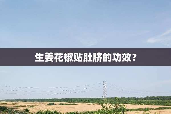 生姜花椒贴肚脐的功效？