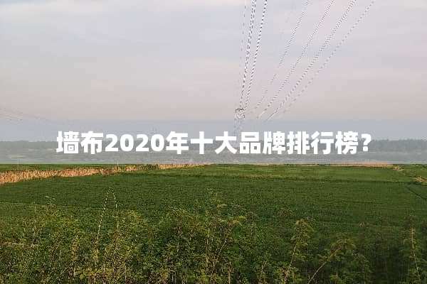 墙布2020年十大品牌排行榜？