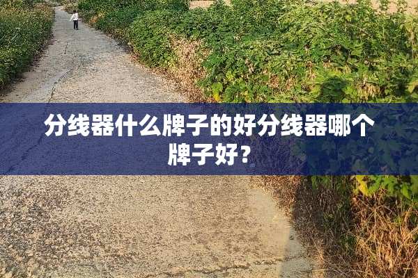 分线器什么牌子的好分线器哪个牌子好？