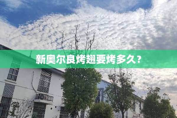 新奥尔良烤翅要烤多久？