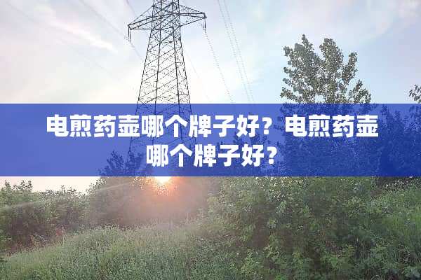 电煎药壶哪个牌子好？电煎药壶哪个牌子好？