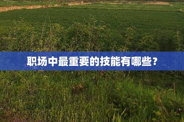 职场中最重要的技能有哪些？