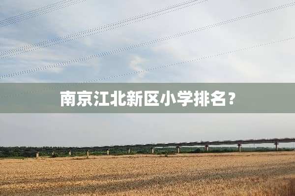 南京江北新区小学排名？