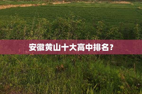 安徽黄山十大高中排名？