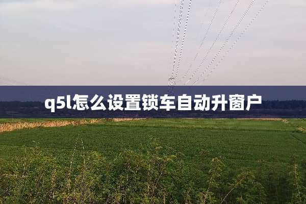 q5l怎么设置锁车自动升窗户