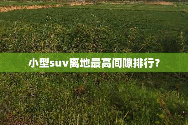 小型suv离地最高间隙排行？
