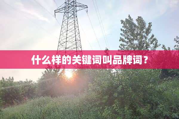 什么样的关键词叫品牌词？