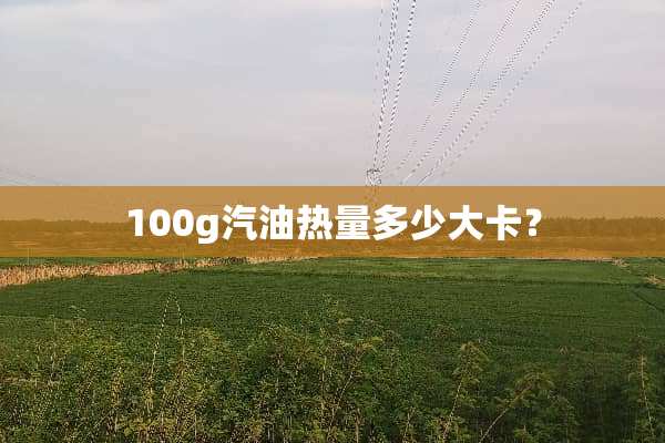 100g汽油热量多少大卡？