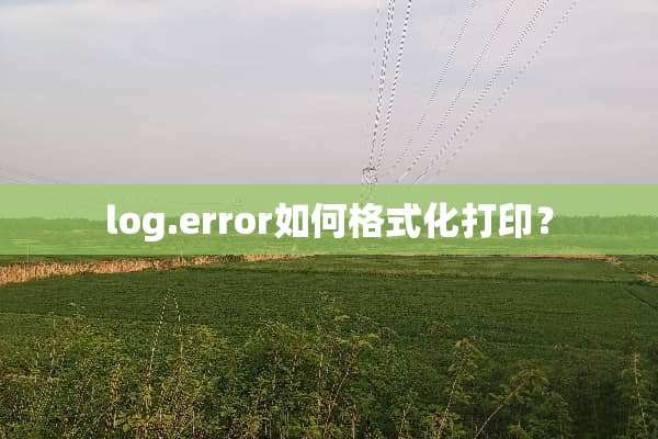 log.error如何格式化打印？