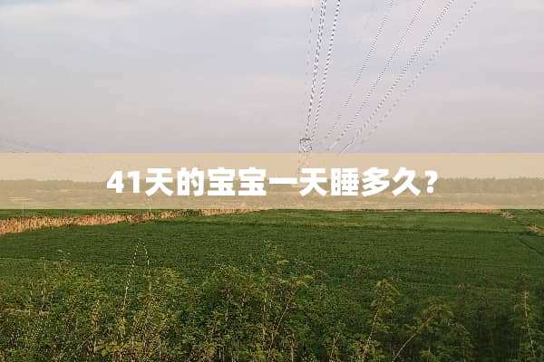 41天的宝宝一天睡多久？
