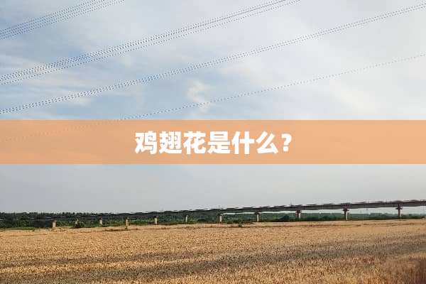鸡翅花是什么？
