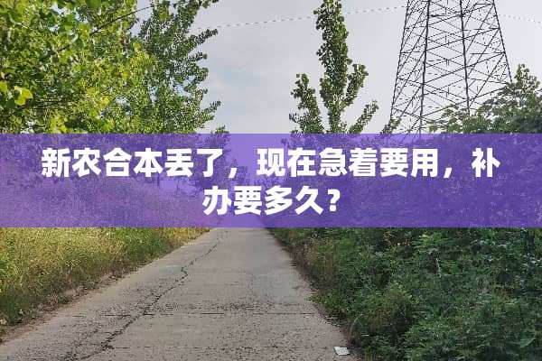 新农合本丢了，现在急着要用，补办要多久？