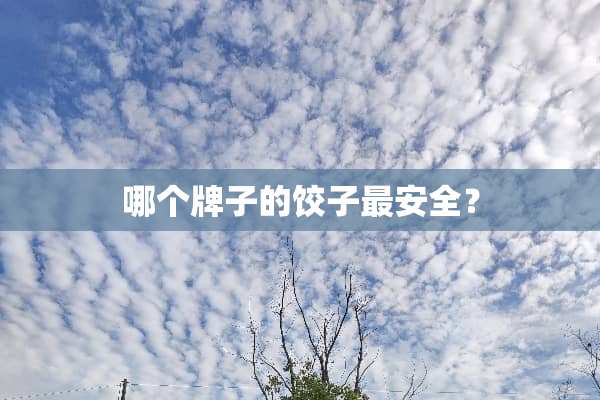 哪个牌子的饺子最安全？