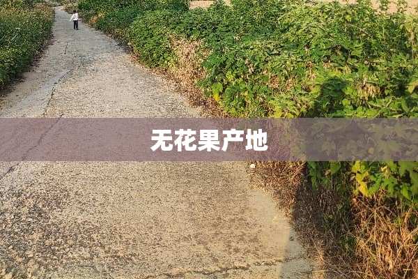 无花果产地