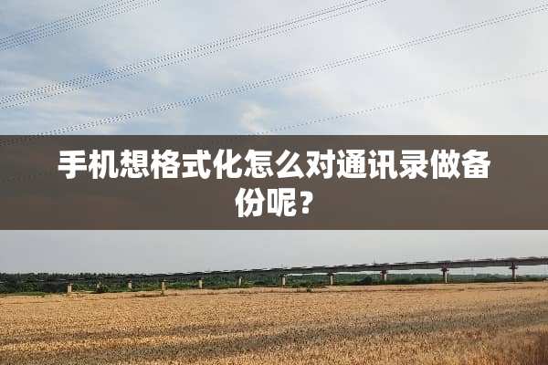 手机想格式化怎么对通讯录做备份呢？
