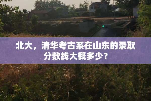 北大，清华考古系在山东的录取分数线大概多少？
