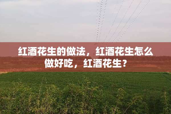 红酒花生的做法，红酒花生怎么做好吃，红酒花生？