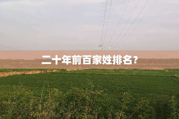 二十年前百家姓排名？