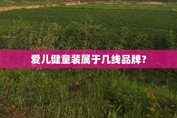 爱儿健童装属于几线品牌？