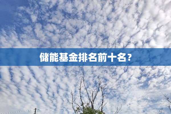 储能基金排名前十名？