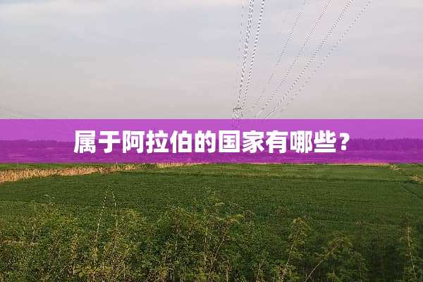 属于阿拉伯的国家有哪些？