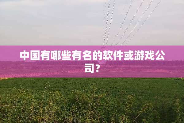 中国有哪些有名的软件或游戏公司？