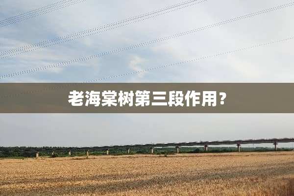 老海棠树第三段作用？