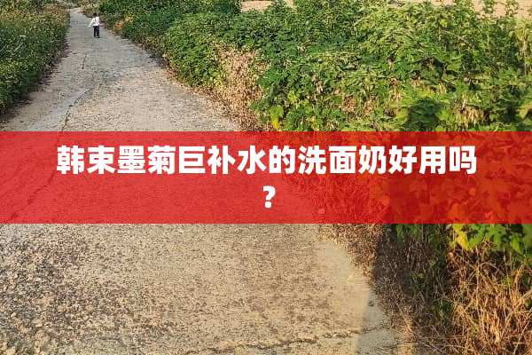 韩束墨菊巨补水的洗面奶好用吗？