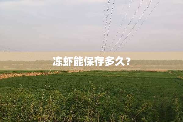 冻虾能保存多久？