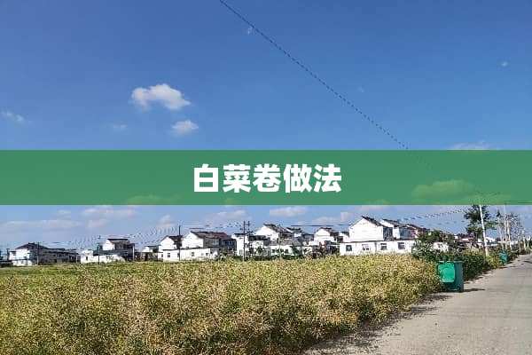 白菜卷做法