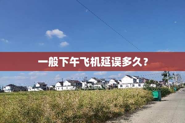 一般下午飞机延误多久？