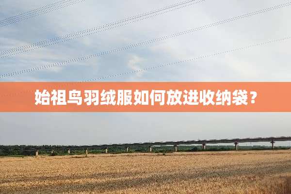 始祖鸟羽绒服如何放进收纳袋？