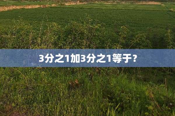 3分之1加3分之1等于？