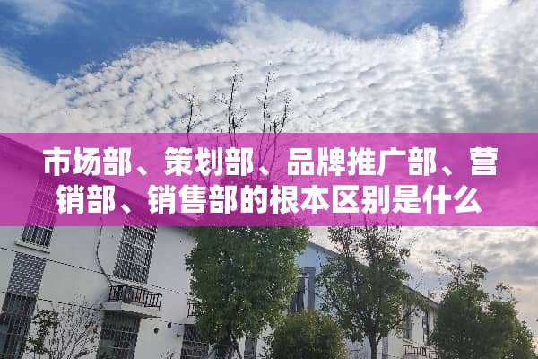 市场部、策划部、品牌推广部、营销部、销售部的根本区别是什么？