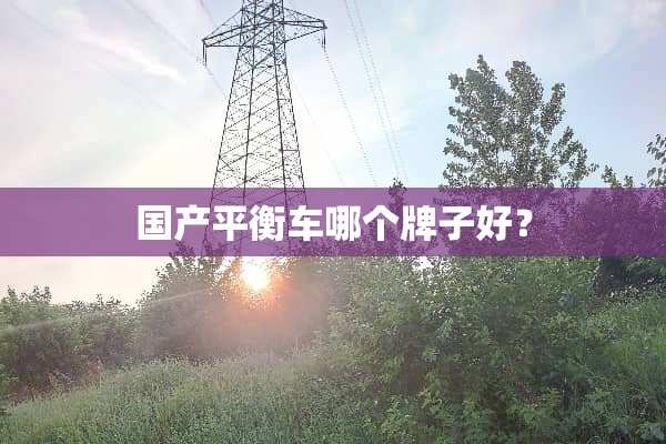 国产平衡车哪个牌子好？
