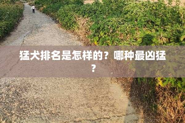 猛犬排名是怎样的？哪种最凶猛？