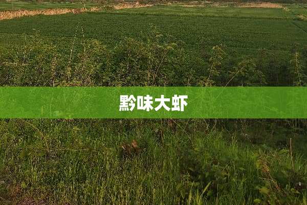 黔味大虾