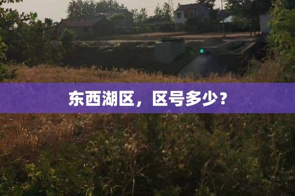 东西湖区，区号多少？