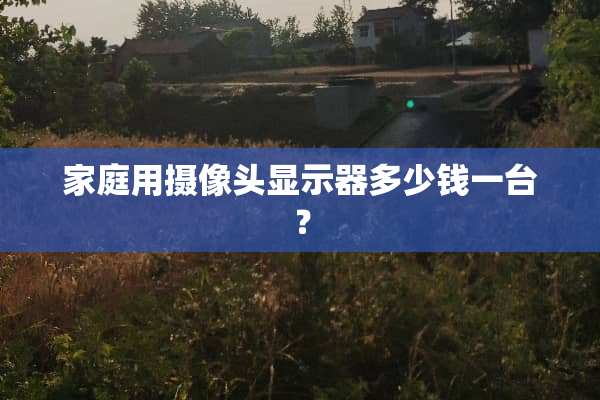 家庭用**头显示器多少钱一台？