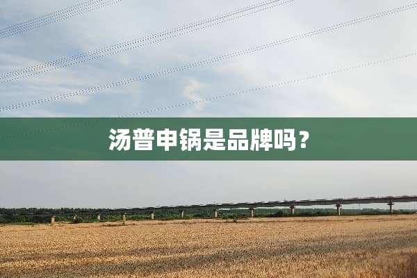 汤普申锅是品牌吗？