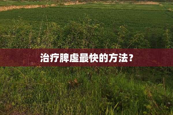 治疗脾虚最快的方法？