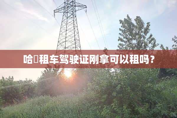 哈啰租车***刚拿可以租吗？