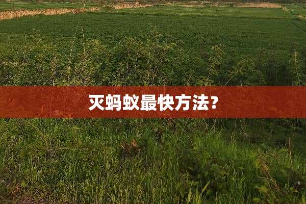 灭蚂蚁最快方法？