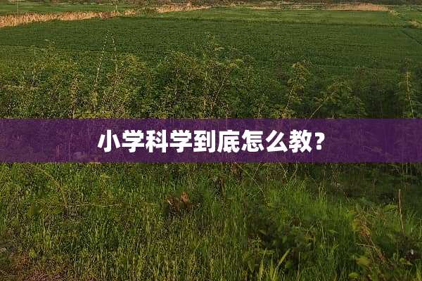 小学科学到底怎么教？