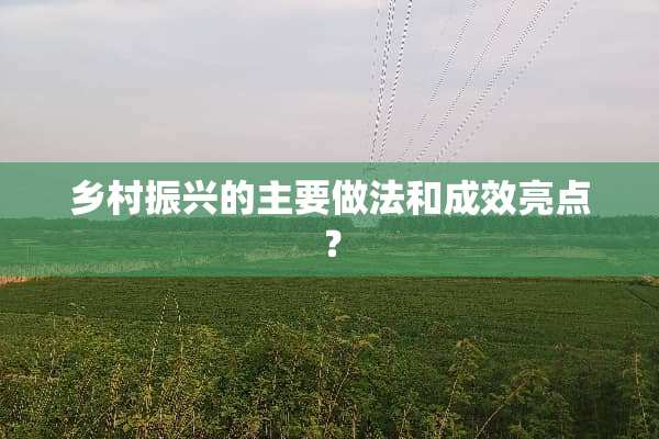 乡村振兴的主要做法和成效亮点？