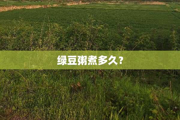 绿豆粥煮多久？