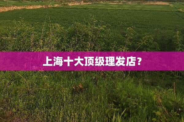 上海十大**理发店？