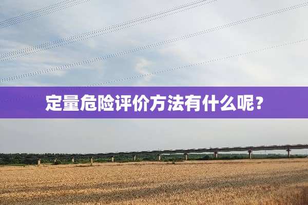 定量危险评价方法有什么呢？