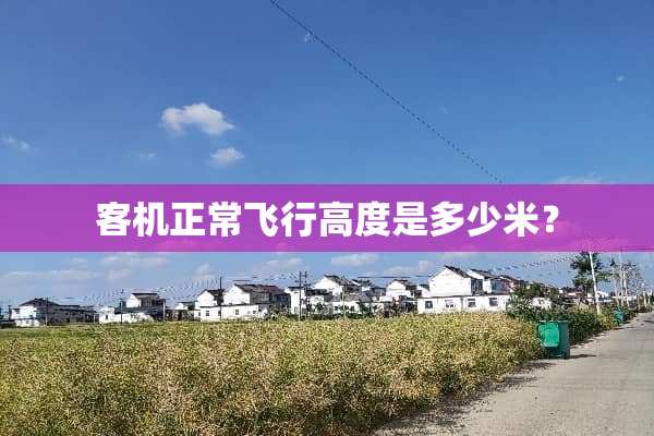 客机正常飞行高度是多少米？